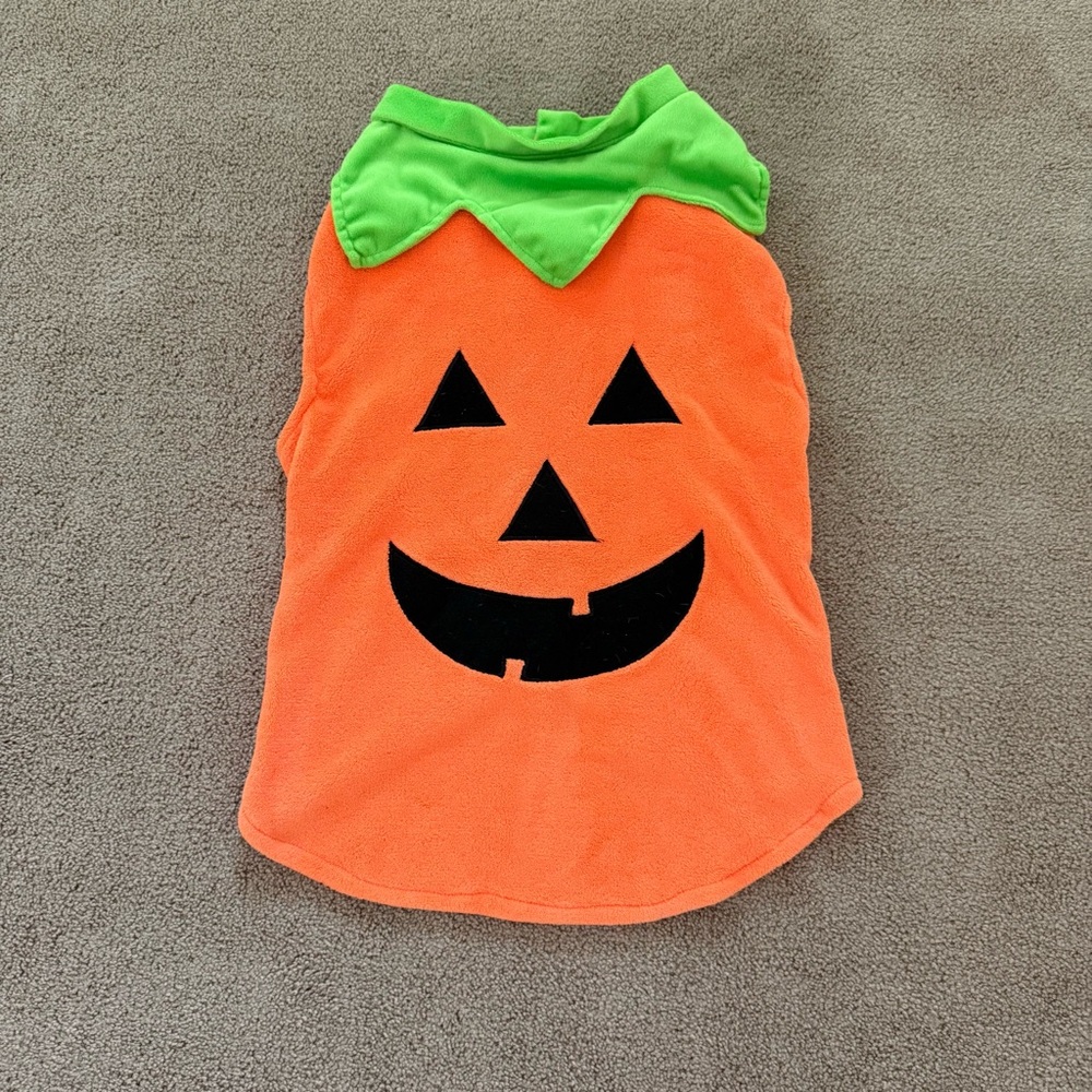 TOP PAW Pumpkin Dog Costume XXL Halloween jack o lantern